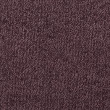 Fabrica Pure in Lavish 555PE-494PE