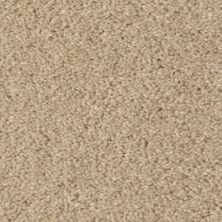 Fabrica Cotton Club in Sand Fossil 803CT-CT28