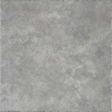 Happy Floors Pietra D’assisi Grigio 2451-C