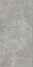 Happy Floors Pietra D’assisi Grigio 2475-C