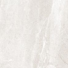 Happy Floors Flint White 6060-C