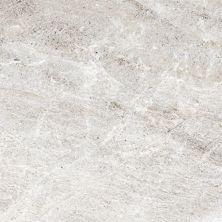 Happy Floors Flint Silver 6065-C