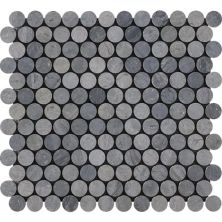 Happy Floors Stone & Marble Wooden Silver Penny Round Mosaic I PD165