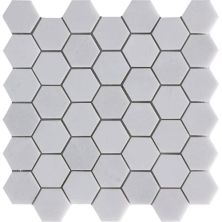Happy Floors Stone & Marble Thassos Hexagon Mosaic I PD172