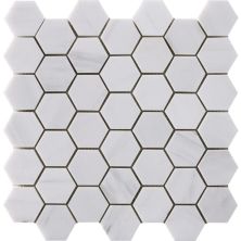 Happy Floors Stone & Marble Dolomite Hexagon Mosaic I PD182
