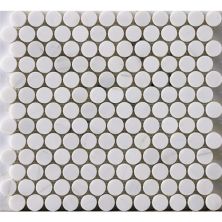 Happy Floors Stone & Marble Dolomite Penny Round Mosaic I PD185