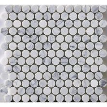 Happy Floors Stone & Marble Statuario Penny Round Mosaic I PD195