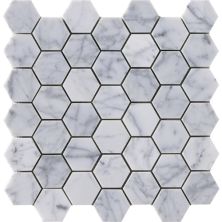 Happy Floors Stone & Marble Carrara Hexagon Mosaic I PD202
