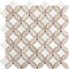 Happy Floors Stone & Marble White Superellipse Mosaic Iii PD286