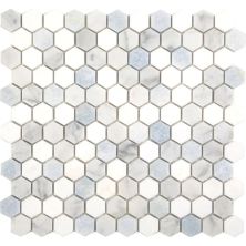 Happy Floors Stone & Marble White Hexagon Mosaic I PD290