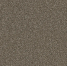 Big Bob’s Flooring Outlet St-palo Duro 12′ Prairie Land IS-ST-PaloDuro12-PrairieLand
