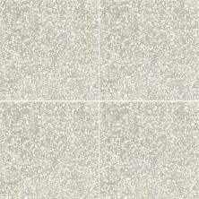 Marazzi D_segni Terrazzo White – DS30-8×8