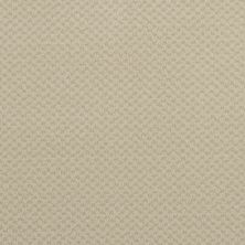 Masland Argonne Patterned Canvas MAS-9440079