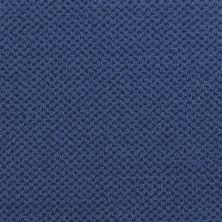 Masland Argonne Patterned Cobalt MAS-9440459