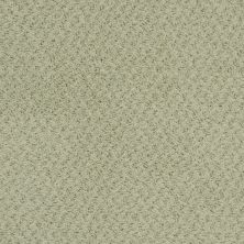 Masland Balthus Non Pattern Meadow MAS-9478740