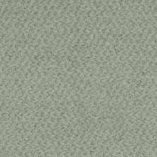 Masland Balthus Non Pattern Laurel MAS-9478743