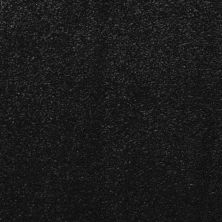 Masland Sydney Non Pattern Dark Of Night MAS-9515727