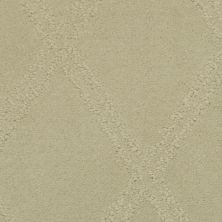 Masland Braided Opulence Simply Taupe 9542247