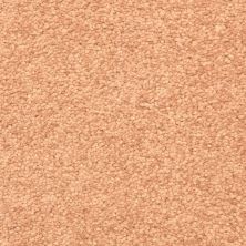 Masland Korgan Non Pattern Copper MAS-9550904