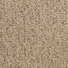 Masland Kozan Non Pattern Driftwood MAS-9556328