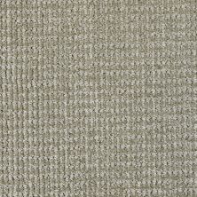 Masland Neutral Patterned Soothing MAS-9636545
