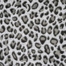 Kane Carpet Basilisk Natural History BAS-NATURALHISTORY