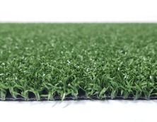 Shaw Grass Spring Choice 1 Lawn IS-150SG-300