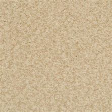 Masland Carpets & Rugs Chromatic Touch Birch 2368-11406