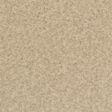 Masland Carpets & Rugs Chromatic Touch Antique Pearl 2368-12114