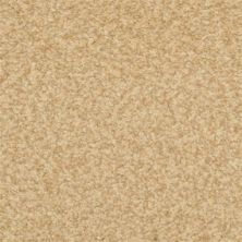 Masland Carpets & Rugs Chromatic Touch Bamboo 2368-23402