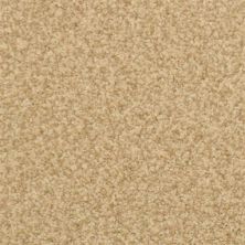 Masland Carpets & Rugs Chromatic Touch Hemp 2368-24207