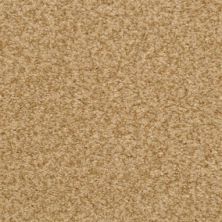 Masland Carpets & Rugs Chromatic Touch Cheetah 2368-26411