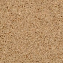 Masland Carpets & Rugs Chromatic Touch Tempura 2368-35309