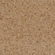 Masland Carpets & Rugs Chromatic Touch Sandstone 2368-36213