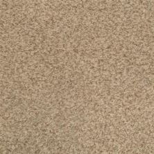 Masland Carpets & Rugs Chromatic Touch Marshland 2368-76719