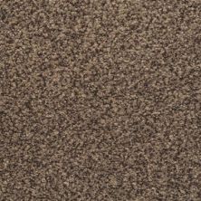 Masland Carpets & Rugs Chromatic Touch Blackened 2368-89824