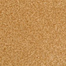 Masland Carpets & Rugs Chromatic Touch Copper 2368-96903