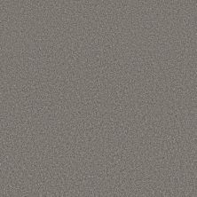 Perfect Home Style Statements Bright Light Flannel Gray 304CP-554