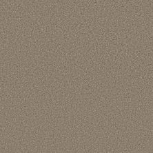 Perfect Home Style Statements Bright Light Chic Taupe 304CP-753