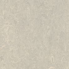 Forbo Marmoleum Click Cinch Loc Concrete FOR-184861