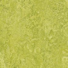 Forbo Marmoleum Click Cinch Loc Chartreuse FOR-184863