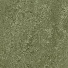 Forbo Marmoleum Click Cinch Loc Pine Forest FOR-184901