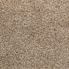 Carpets Of Dalton K2 Naturally Bluff 401-K504