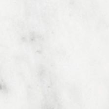 Anatolia Bianco Venatino Honed 5000-0031-0