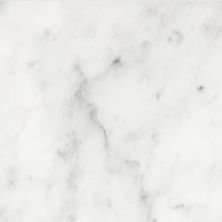 Anatolia Bianco Venatino Honed 5000-0033-0