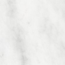 Anatolia Bianco Venatino Polished 5000-0036-0