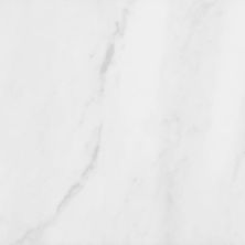 Anatolia Bianco Venatino Polished 5000-0038-0