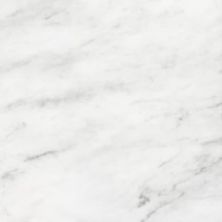 Anatolia Bianco Venatino Honed 5000-0041-0