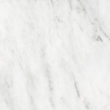 Anatolia Bianco Venatino Polished 5000-0042-0