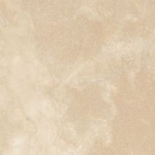 Anatolia Ivory Travertine Filled & Honed 5000-0086-0